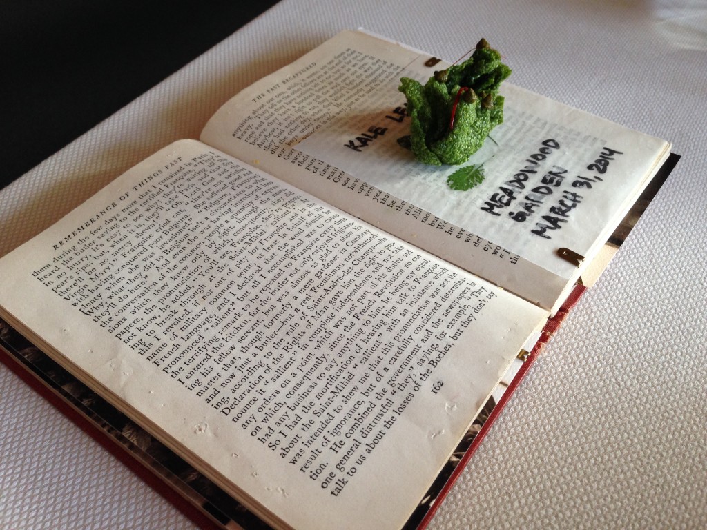Part 2 of our amuse. Yeah, that's a book it's sitting on. And yeah, you're supposed to look through it!